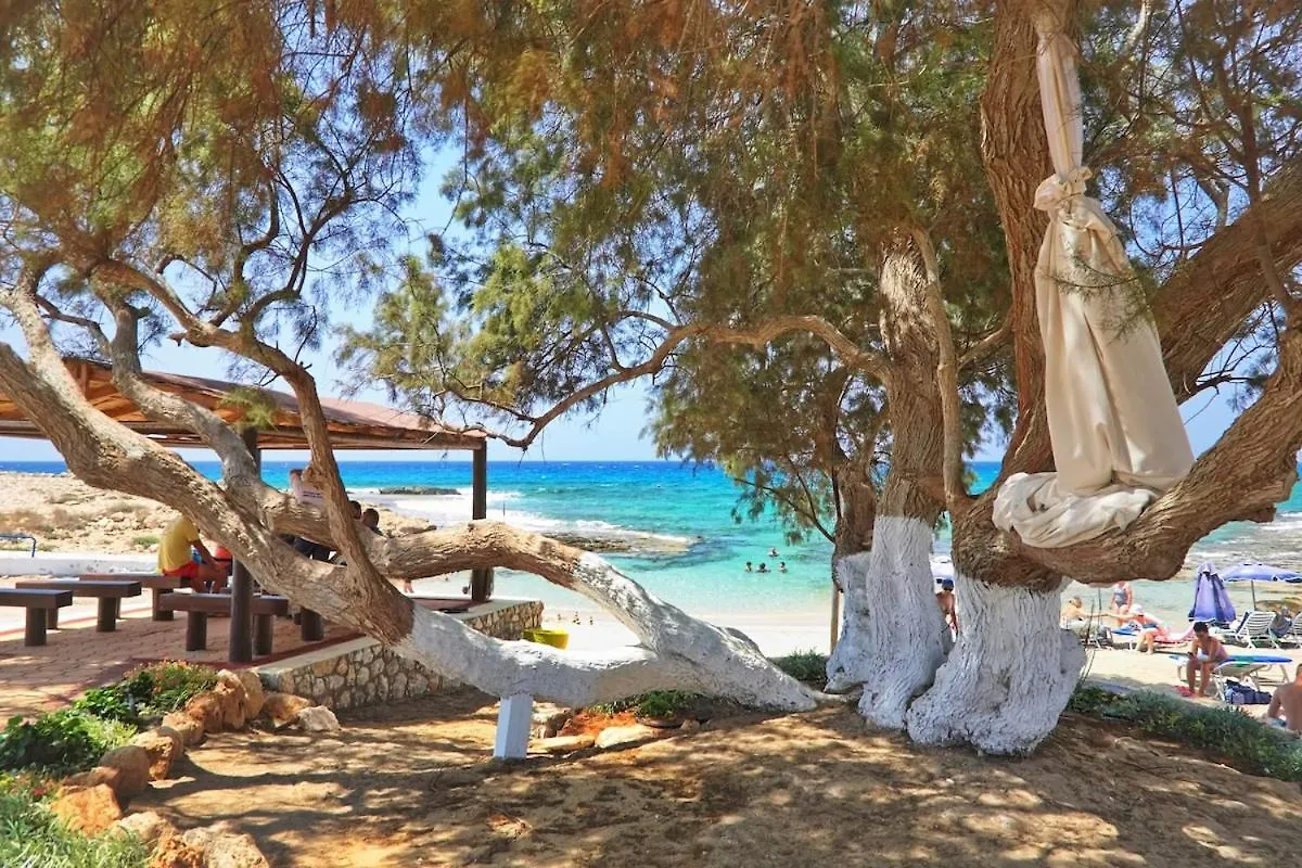 Beachfront Luxury Villa Idania Ayia Napa